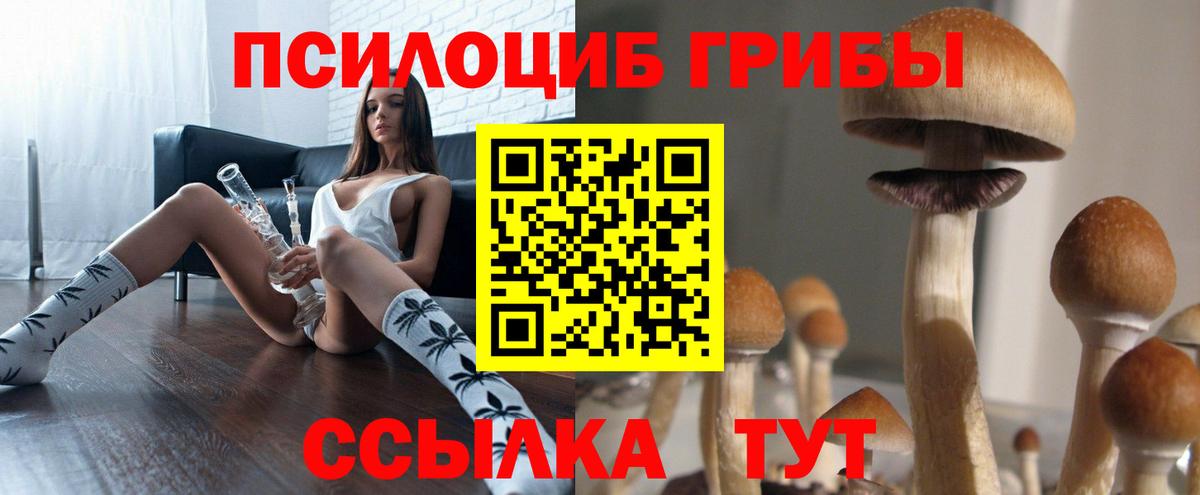 даркнет сайт  Псилоцибиновые грибы Psilocybe  Вход с VPN  Белгород  Галлюциногенные грибы Psilocybine cubensis 